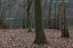 Seenlandschaft