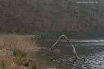 Seenlandschaft