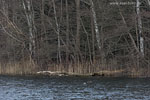 Seenlandschaft