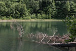 Seenlandschaft