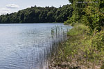 Seenlandschaft