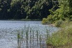 Seenlandschaft