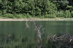 Seenlandschaft