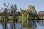 Seenlandschaft