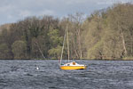 Seenlandschaft