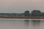 Seenlandschaft