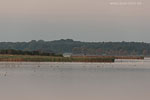 Seenlandschaft