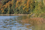 Seenlandschaft