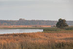 Seenlandschaft