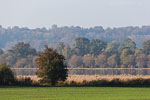 Seenlandschaft