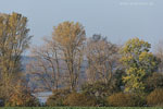Seenlandschaft