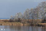 Seenlandschaft