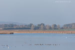 Seenlandschaft