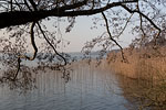 Seenlandschaft