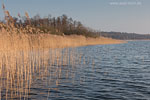 Seenlandschaft
