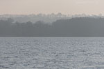 Seenlandschaft