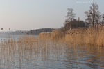 Seenlandschaft