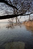 Seenlandschaft