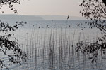 Seenlandschaft
