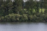 Seenlandschaft