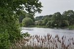 Seenlandschaft