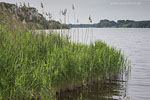 Seenlandschaft