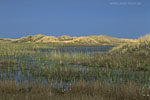 Dnemark - Skagen