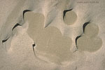 Dnemark - Skagen