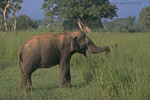 SriLanka