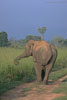 SriLanka