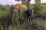 SriLanka