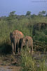 SriLanka