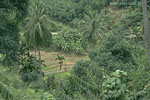 SriLanka