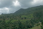 SriLanka
