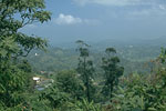 SriLanka