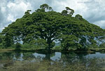 SriLanka