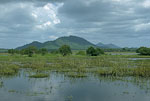 SriLanka