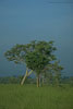 SriLanka