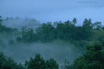 SriLanka