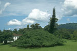 SriLanka