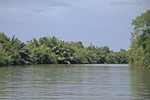 SriLanka