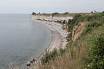 Dnemark - Stevns Klint