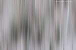 Farben am Strand