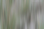 Farben am Strand