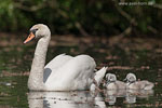 Tierkinder