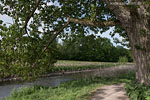 Flulandschaft