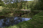 Flulandschaft