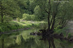 Flulandschaft