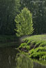 Flulandschaft