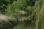 Flulandschaft